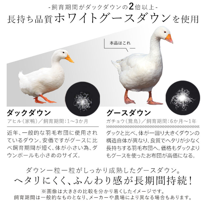 洗える 羽毛布団 ホワイトダウン93％ 400dp 羽毛掛け布団 ニオイが少ない ホワイトダックダウン 羽毛ふとん 日本製 立体キルト 洗浄度3倍 コインランドリー