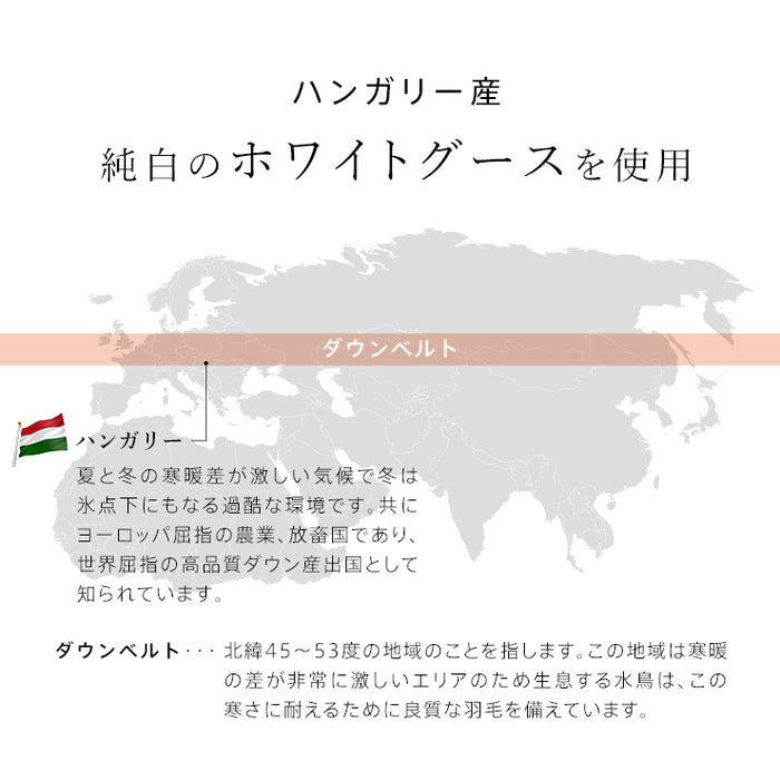 ハンガリーグース 羽毛肌掛け布団 ダウンケット グース 洗える ハンガリー産 ホワイトグースダウン93％ ウォッシャブル シングル 綿100％ 超長綿 春用 夏用 秋用 羽毛肌掛けふとん 羽毛布団 日本製 国産