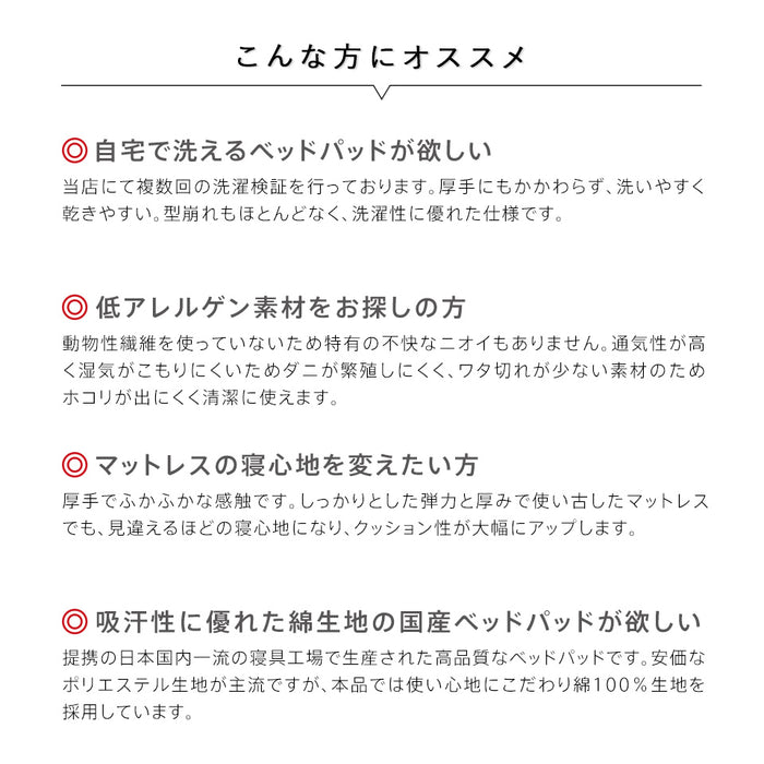 ベッドパッド 洗える 厚手 清潔 ダクロン ベットパッド ダクロンサポートマットファイバーフィル（旧ホロフィル） インビスタ ベットパット 日本製