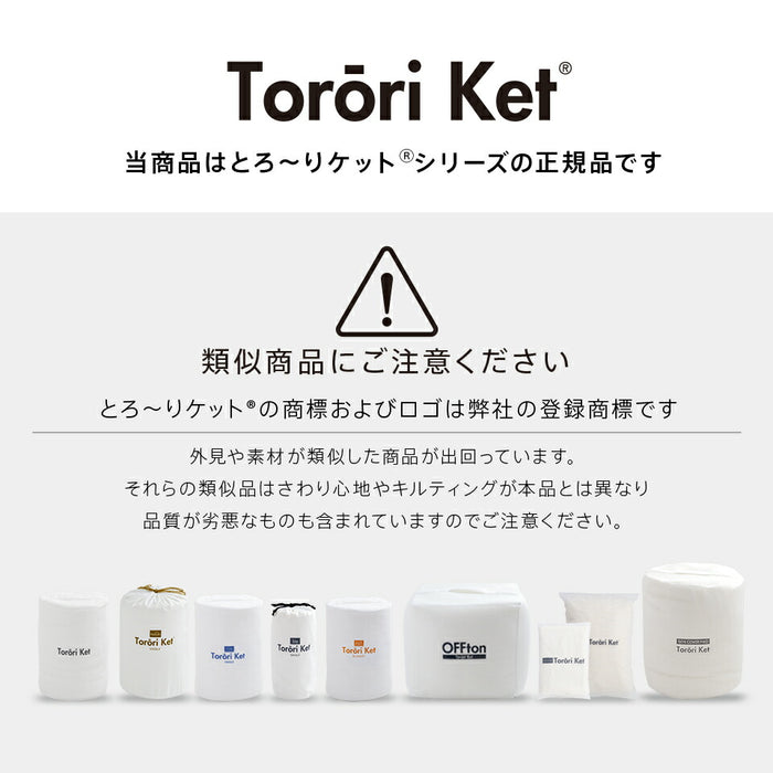 ホット とろーり リバーシブルボックスカバーパッド あったか 洗える 正規 秋 冬 エアロゲル モコモコ ふわとろ フランネル レーヨンケット とろーりケット とろとろケット とろりケット ギフト