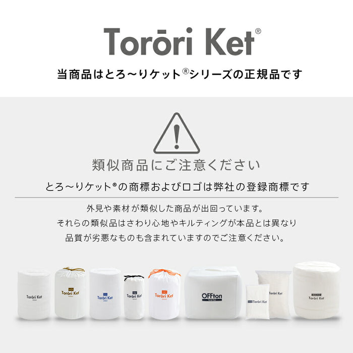 洗える とろ〜り 掛けふとん カバー シングル セミダブル ダブル 正規 春用 夏用 秋用 レーヨン とろーりケット がカバーになった とろとろ 掛け布団用 掛カバー エアコン 雲ケット ギフト