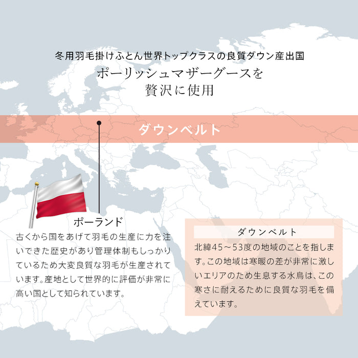 羽毛布団 二層式 ダブル ポーランド産ホワイトマザーグース95％ マザーグース ポーリッシュ ポーランド 420dp 超柔らか軽量生地 ツインキルト 羽毛掛け布団 羽毛ふとん 日本製 京都金桝