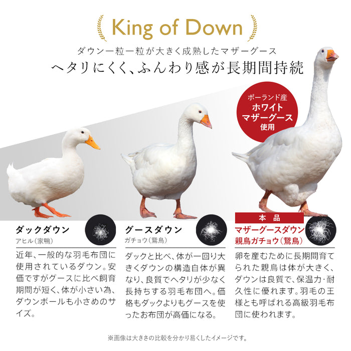 羽毛布団 二層式 セミダブル ポーランド産ホワイトマザーグース95％ マザーグース ポーリッシュ ポーランド 420dp 超柔らか軽量生地 ツインキルト 羽毛掛け布団 羽毛ふとん 日本製 京都金桝