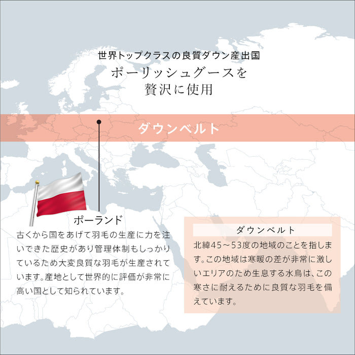 ポーランド産ホワイトグースダウン 羽毛布団 選べる ダウン 93% DP400 90% DP370 側生地 綿100% 80超長綿 サテン ファインマイクロ 羽毛量 通常 増量 清浄度3倍 羽毛掛け布団 羽毛ふとん 日本製 立体キルト