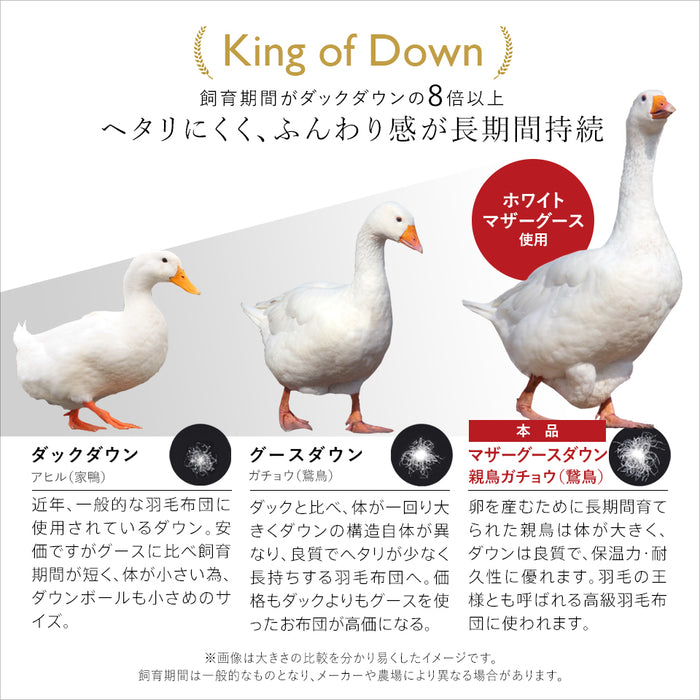 羽毛合い掛け布団 マザーグース 羽毛 合掛け布団 マザーホワイトグースダウン93％ 420dp グース マンションタイプ 羽毛布団 合い掛け 羽毛合い 昭和西川 日本製 立体キルト