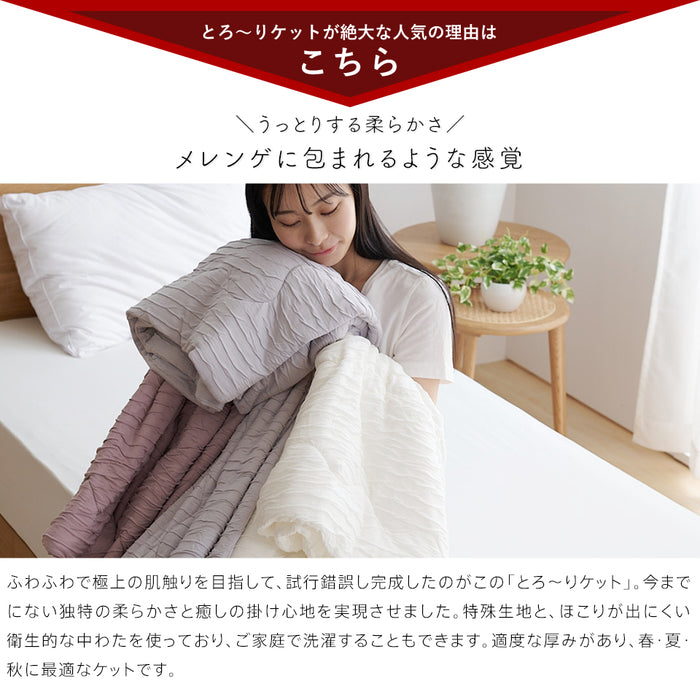 洗える肌掛け布団 とろ～りケット とろける 柔らか 春用 夏用 秋用 マシュマロケット ダウンケット 羽毛肌掛け布団 をご検討の方にも 肌掛け 肌布団 レーヨンケット キルトケット とろーりケット 父の日 ギフト