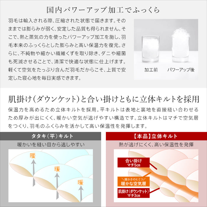 2枚合わせ羽毛布団 ホワイトダウン93％ 400dp 羽毛 洗える 羽毛布団 デュエット ホワイトダックダウン93％ オールシーズン 合い掛け 肌掛け ダウンケット 日本製 2枚合せ