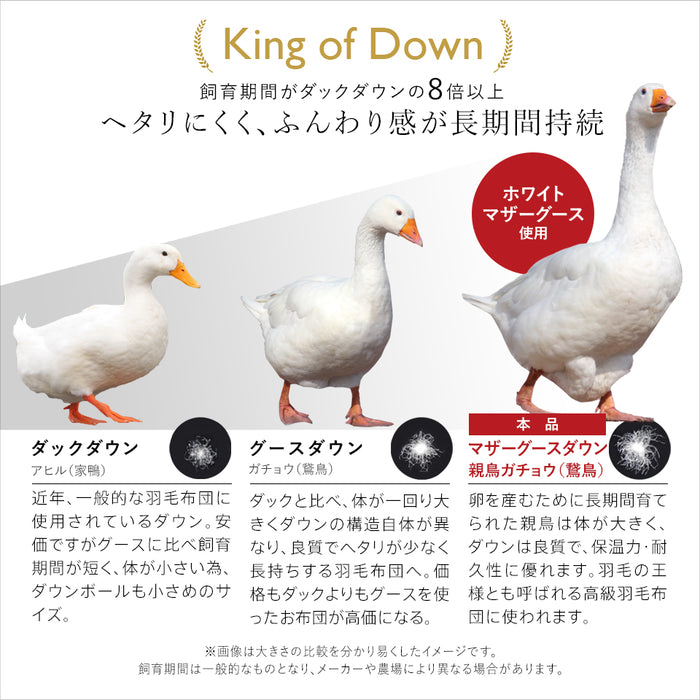 2枚合わせ羽毛布団 マザーグース 羽毛 洗える 羽毛布団 デュエット マザーホワイトグースダウン93％ 420dp グース オールシーズン 合い掛け 肌掛け ダウンケット 日本製 2枚合せ