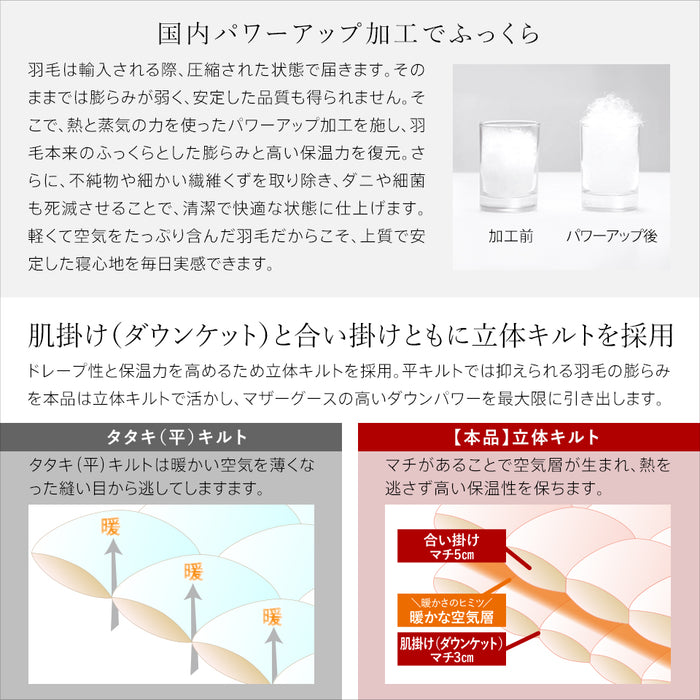 2枚合わせ羽毛布団 マザーグース 羽毛 洗える 羽毛布団 デュエット マザーホワイトグースダウン93％ 420dp グース オールシーズン 合い掛け 肌掛け ダウンケット 日本製 2枚合せ