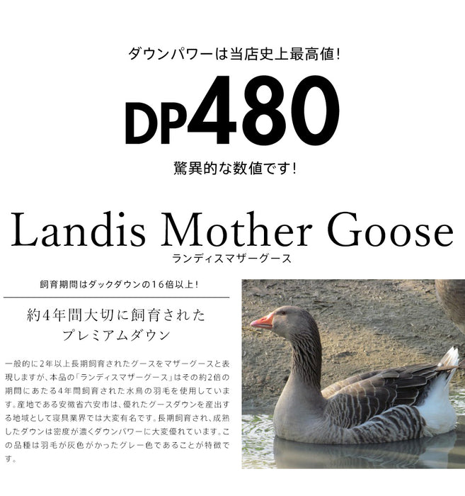 羽毛布団 二層式 シングル ランディスマザーグース95％ マザーグース 480dp 柔らか軽量生地 二層キルト 暖かい 二層 ツインキルト 羽毛掛け布団 羽毛ふとん 日本製 プレミアムゴールドラベル