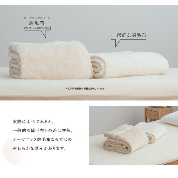 オーガニックコットン 綿毛布 - 寝具